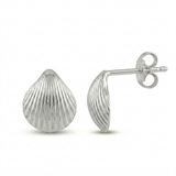 Sterling Silver Seashell Stud Earrings