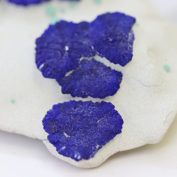 Azurite Kaol Silt Stone