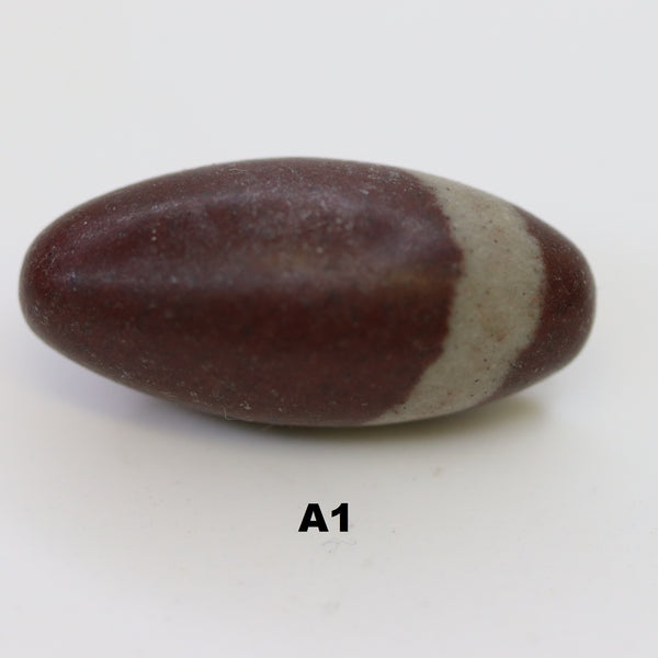 Shiva Lingam Baby